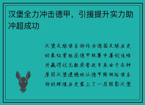汉堡全力冲击德甲，引援提升实力助冲超成功